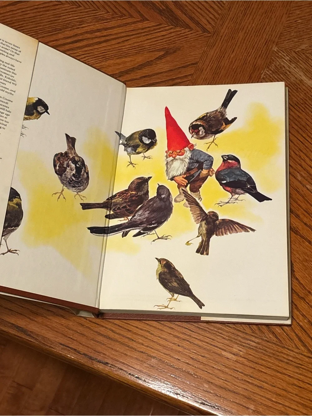 Gnomes by Wil Huygen & Rien Poortvliet – 1977 Vintage Hardcover Art Book